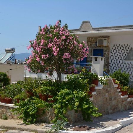 Traditional Summer House In Marmari Marmari  Exterior photo