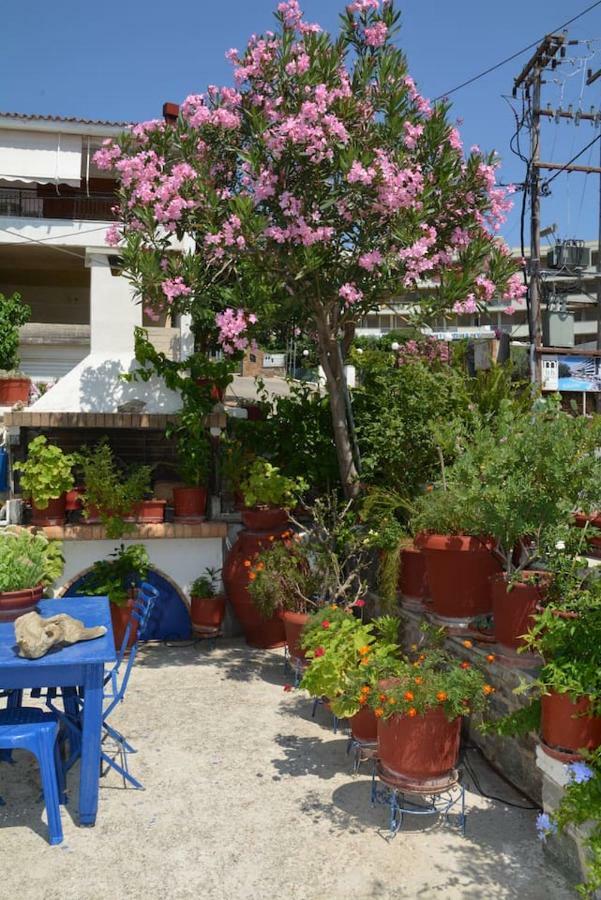 Traditional Summer House In Marmari Marmari  Exterior photo