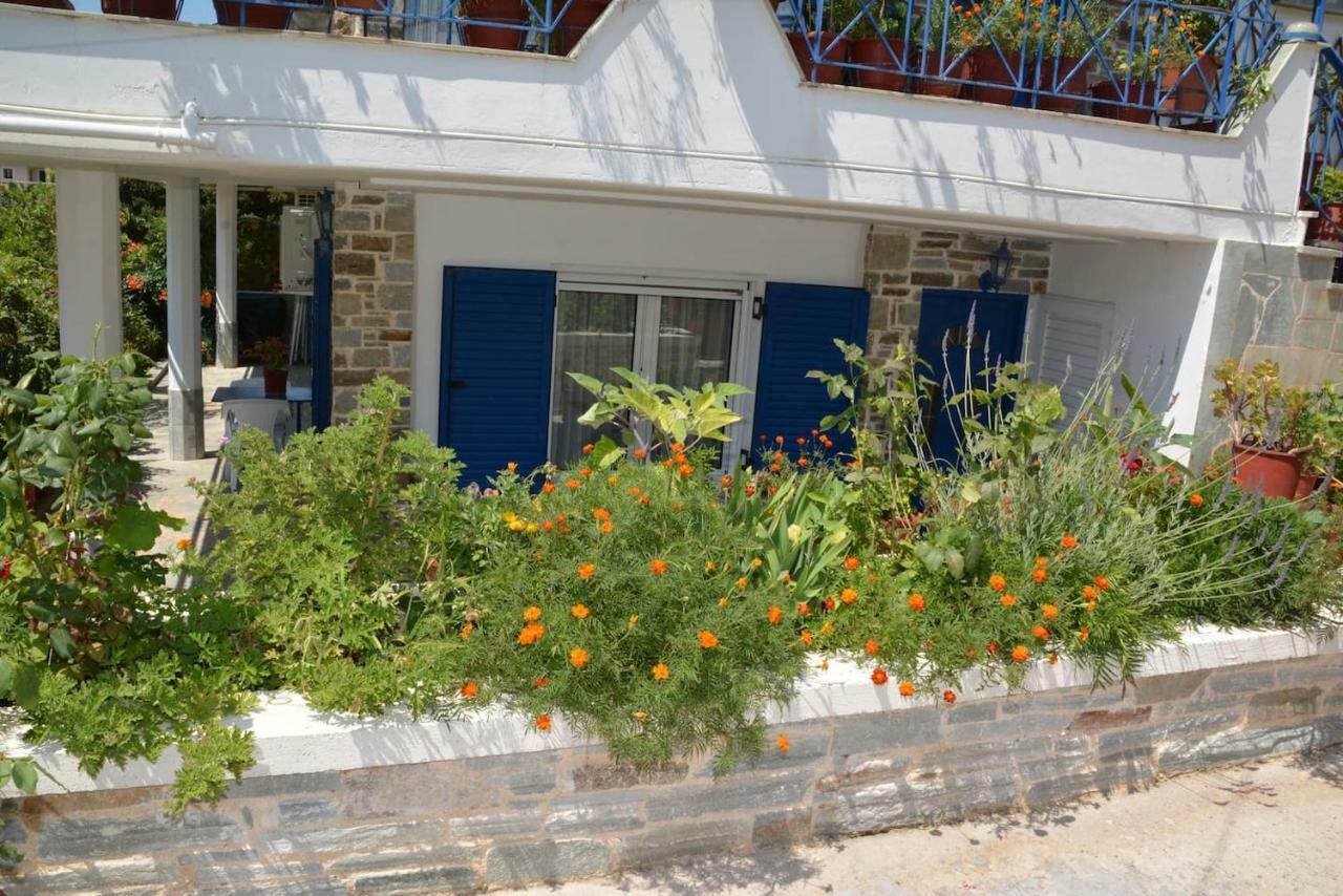 Traditional Summer House In Marmari Marmari  Exterior photo